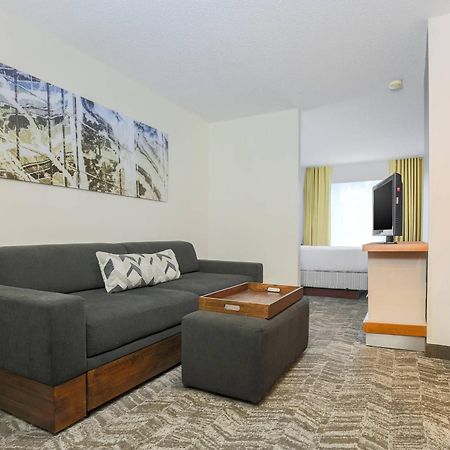 Springhill Suites By Marriott Houston Brookhollow Exterior foto